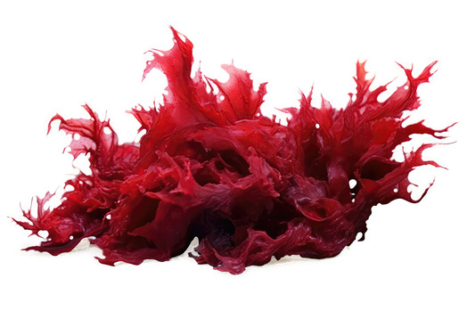NBL Astaxanthin Softgel
