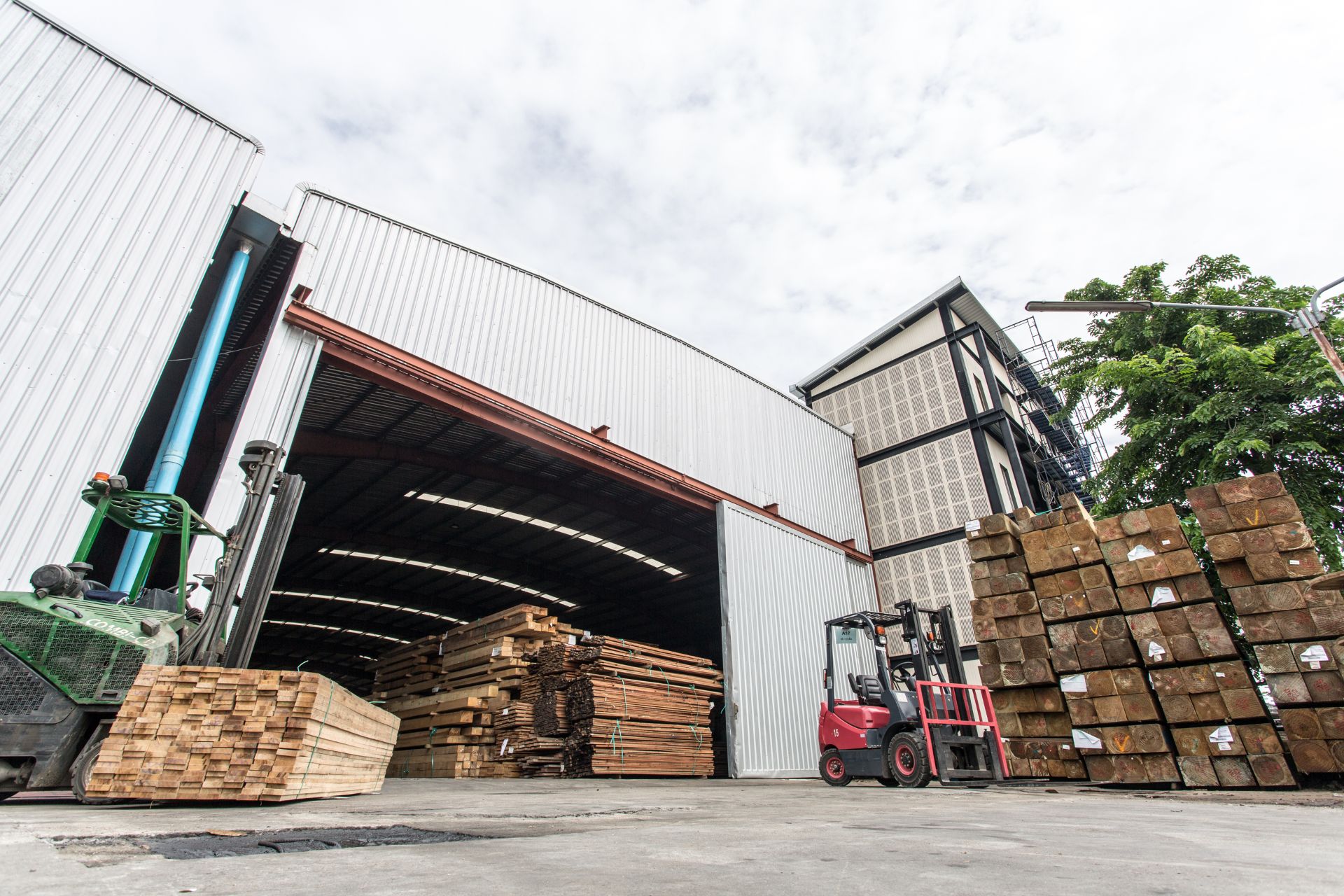 ศูนย์รวมไม้ทุกชนิด