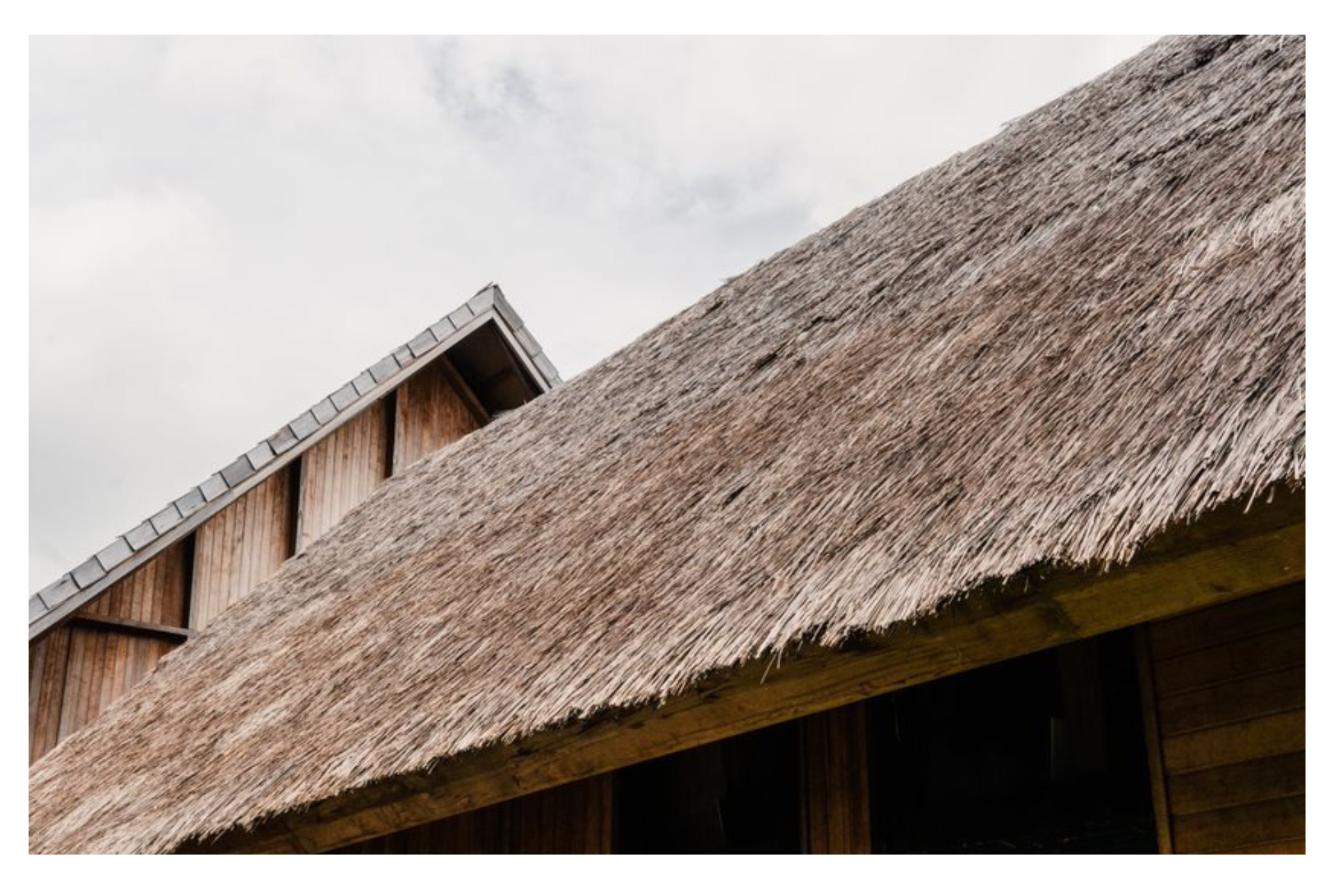 หลังคาไม้ไผ่