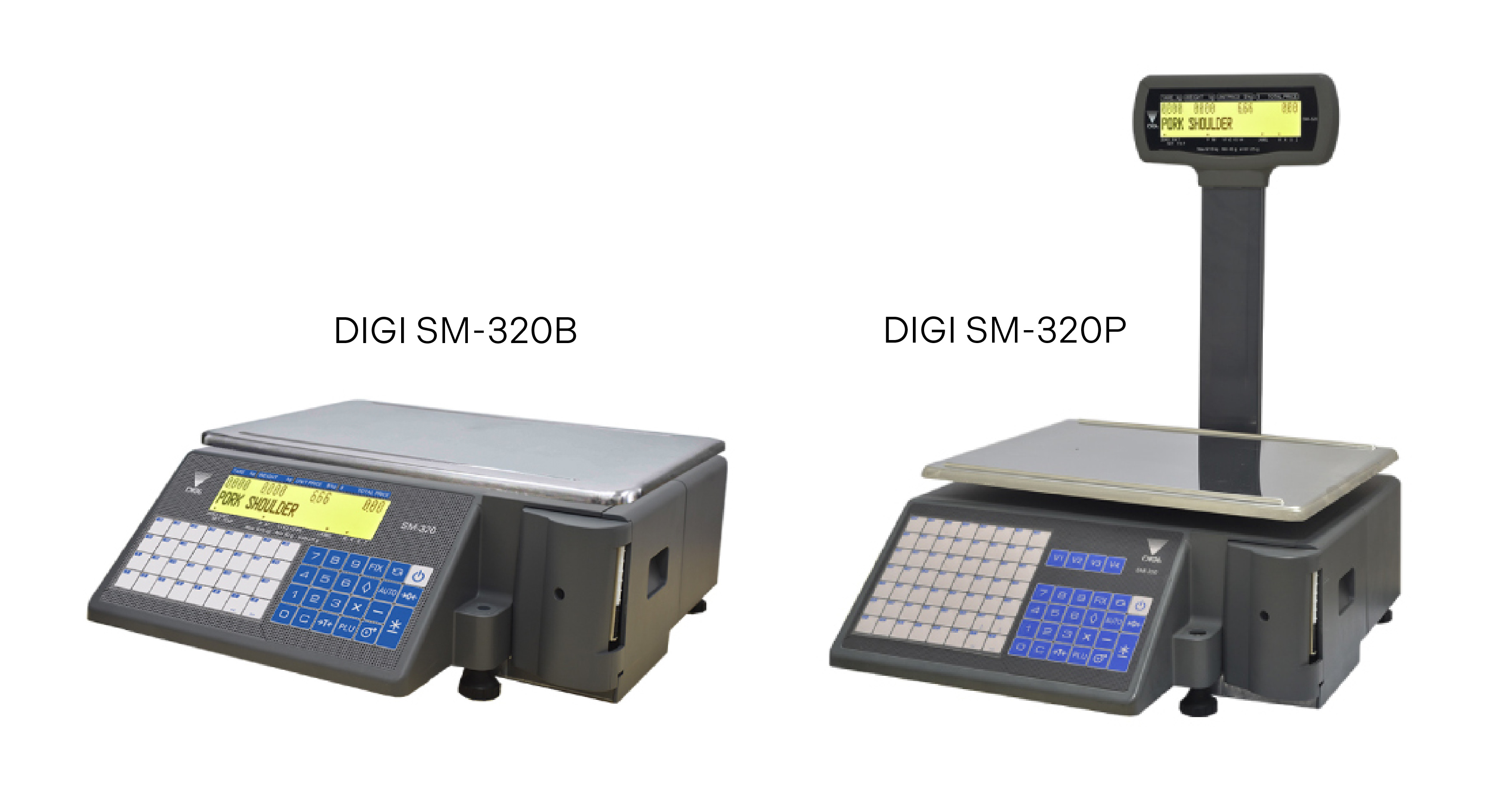 DIGI SM-320 Scales With Printer