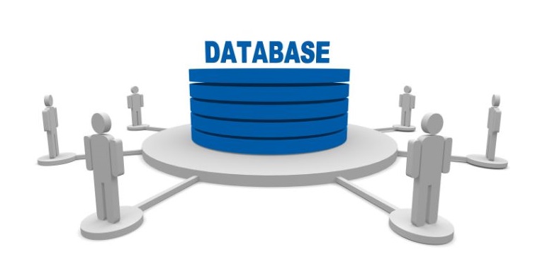 Database