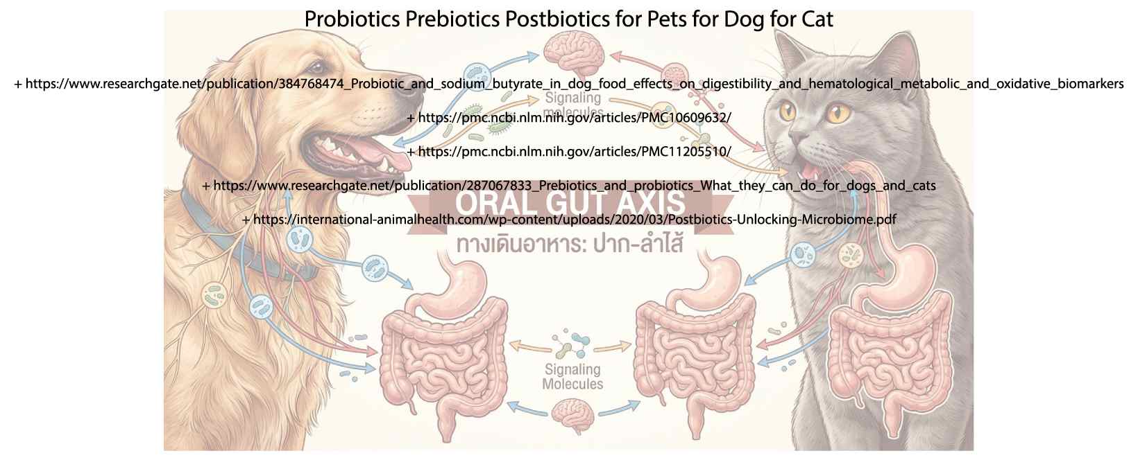 Probiotics Prebiotics Postbiotics for Pets for Dog for Cat