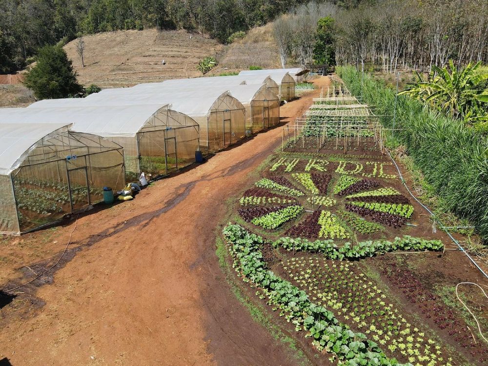 แม่เจ่ม เชียงใหม่