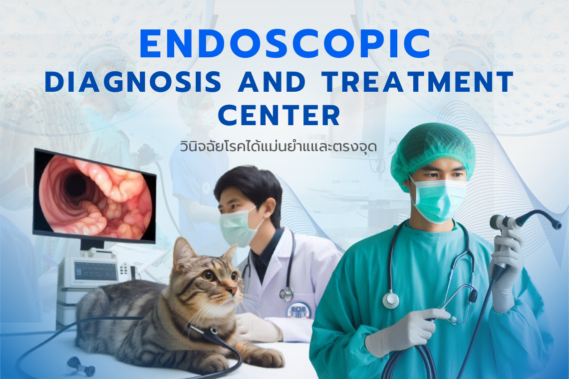 ศูนย์ตรวจวินิจฉัยและรักษาโดยการส่องกล้อง (Innovation Endoscopic diagnosis and treatment center)