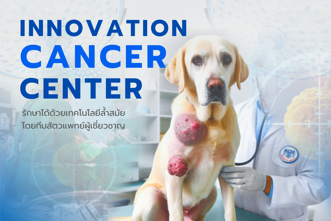 ศูนย์มะเร็งก้าวหน้าสำหรับสัตว์เลี้ยง (Innovation Cancer Center)