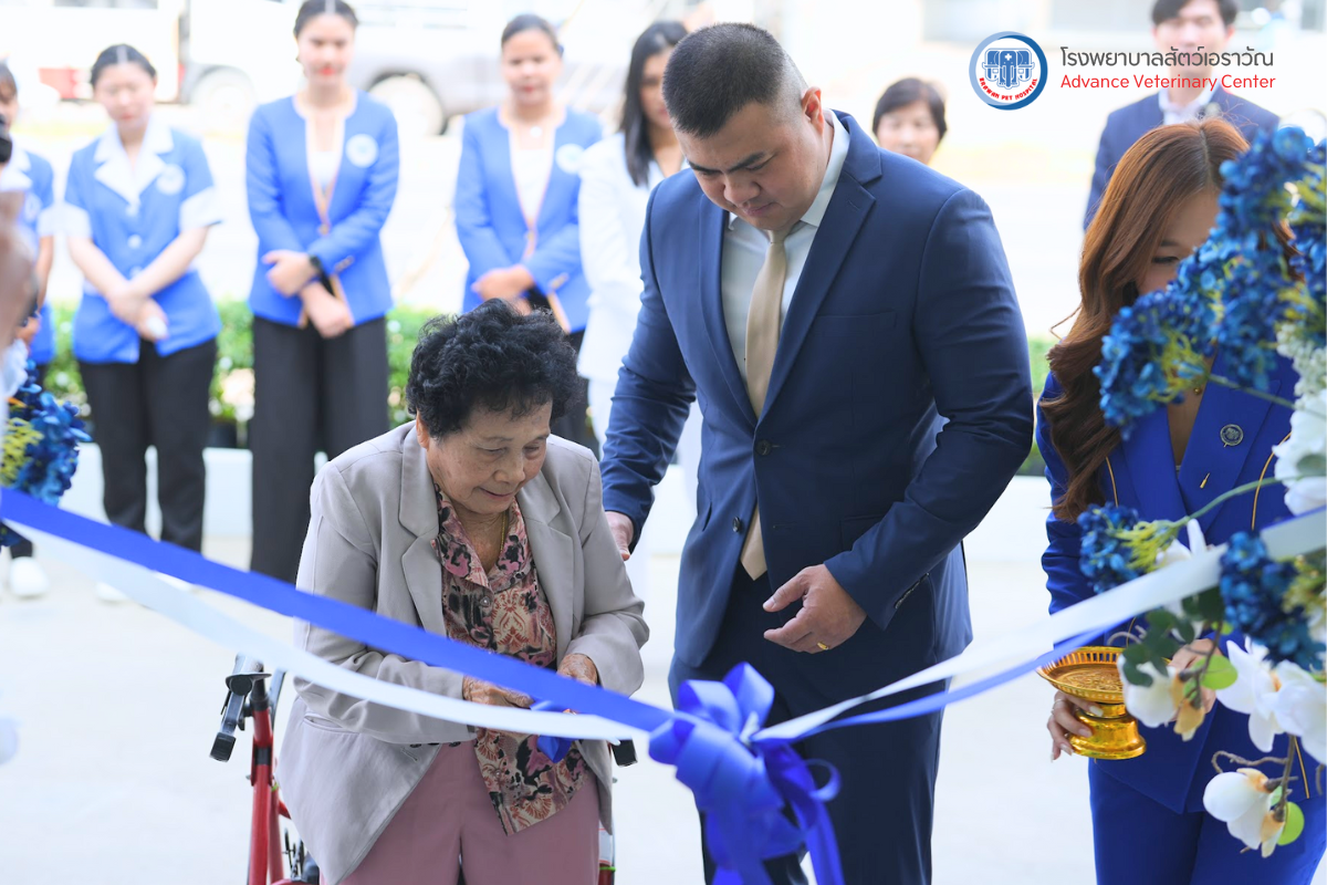 โรงพยาบาลสัตว์เอราวัณ (Erawan Pet Hospital)