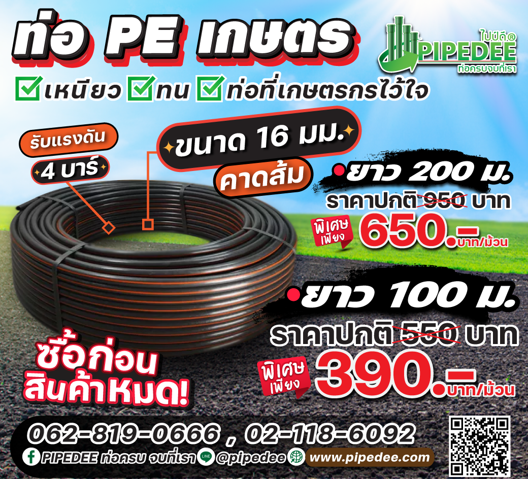 ราคาท่อpe_เกษตร_คาดส้ม ราคาท่อpe_เกษตร_คาดส้ม