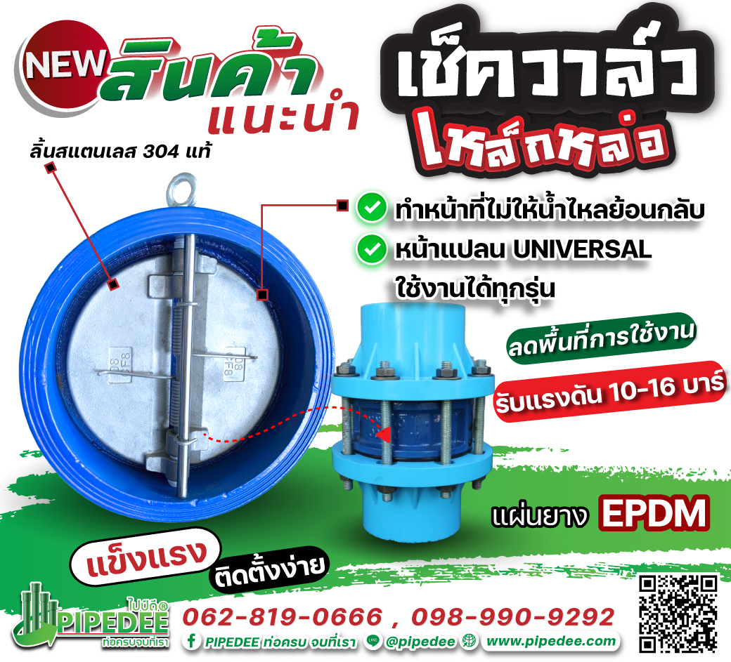 เช็ควาล์วเหล็กหล่อ เช็ควาล์วเหล็กหล่อ