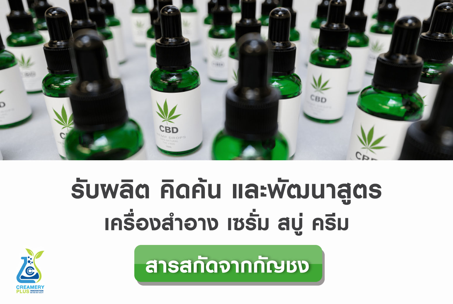 กัญชง กัญชง