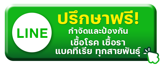 บริการอบโอโซน