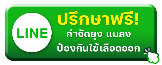 บริการพ่นฆ่าเชื้อ