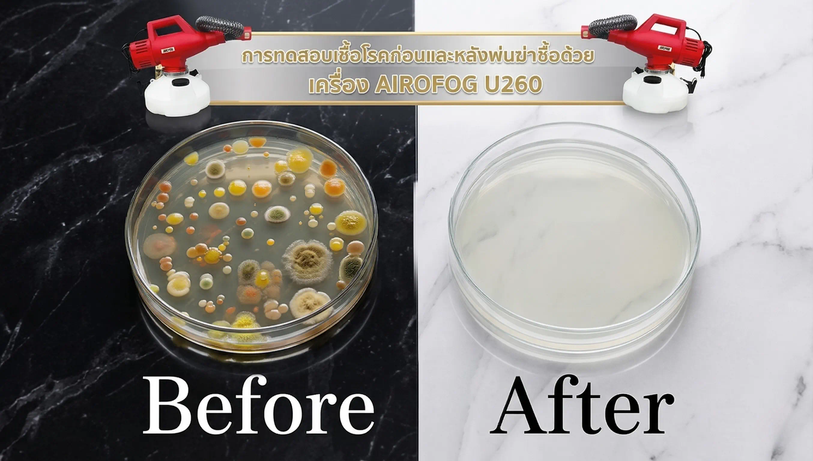 บริการพ่นฆ่าเชื้อ