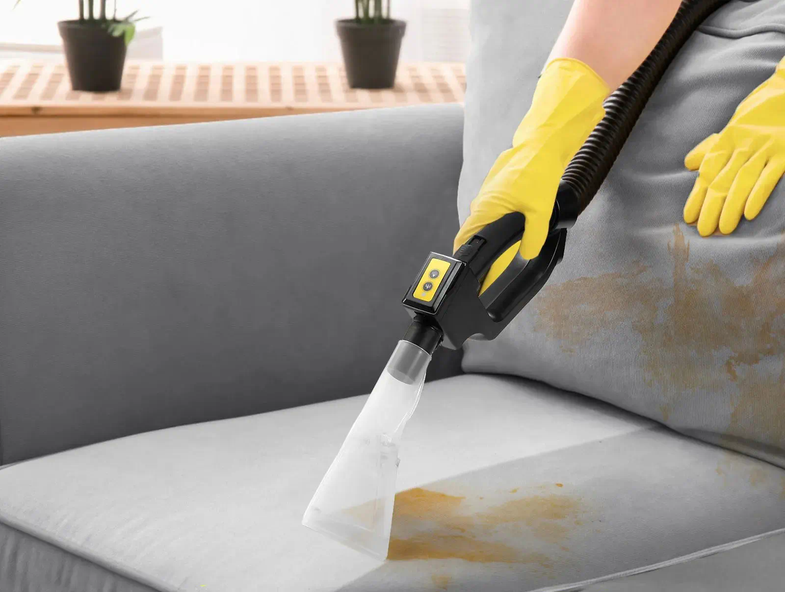 บริการกำจัดไรฝุ่น