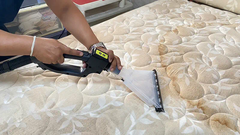 บริการกำจัดไรฝุ่น