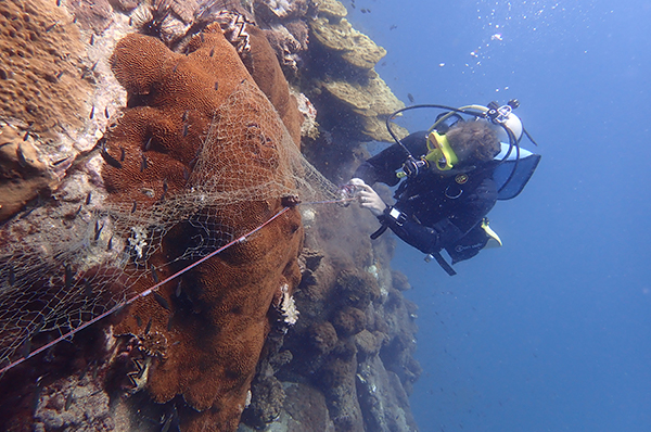 scuba diving thailand