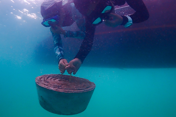 Thai Ocean Academy Marine restoration training program Thailand