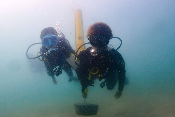 Thai Ocean Academy Marine restoration training program Thailand