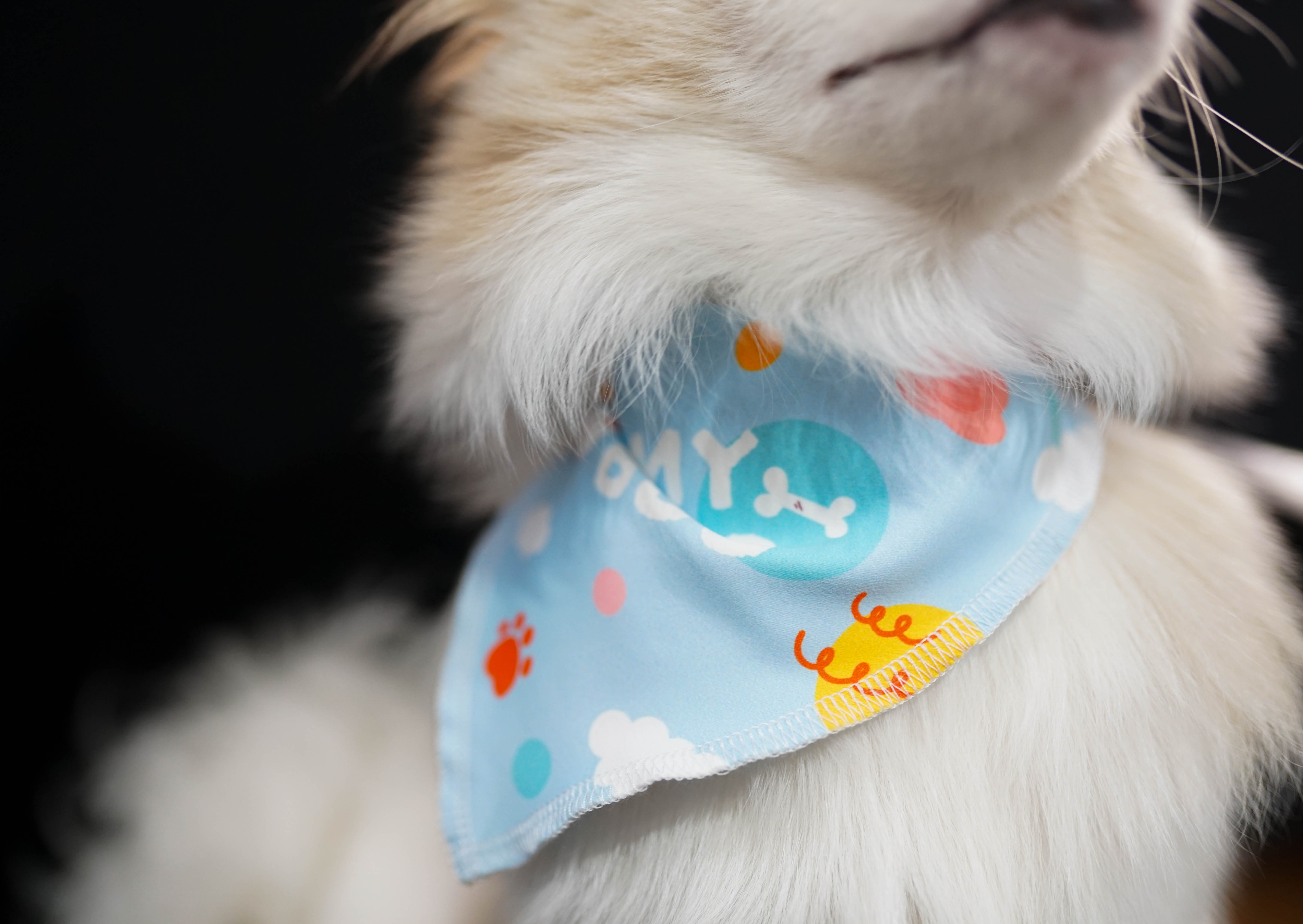 ผ้าพันคอหมา แมว ผ้าพันคอหมา แมว