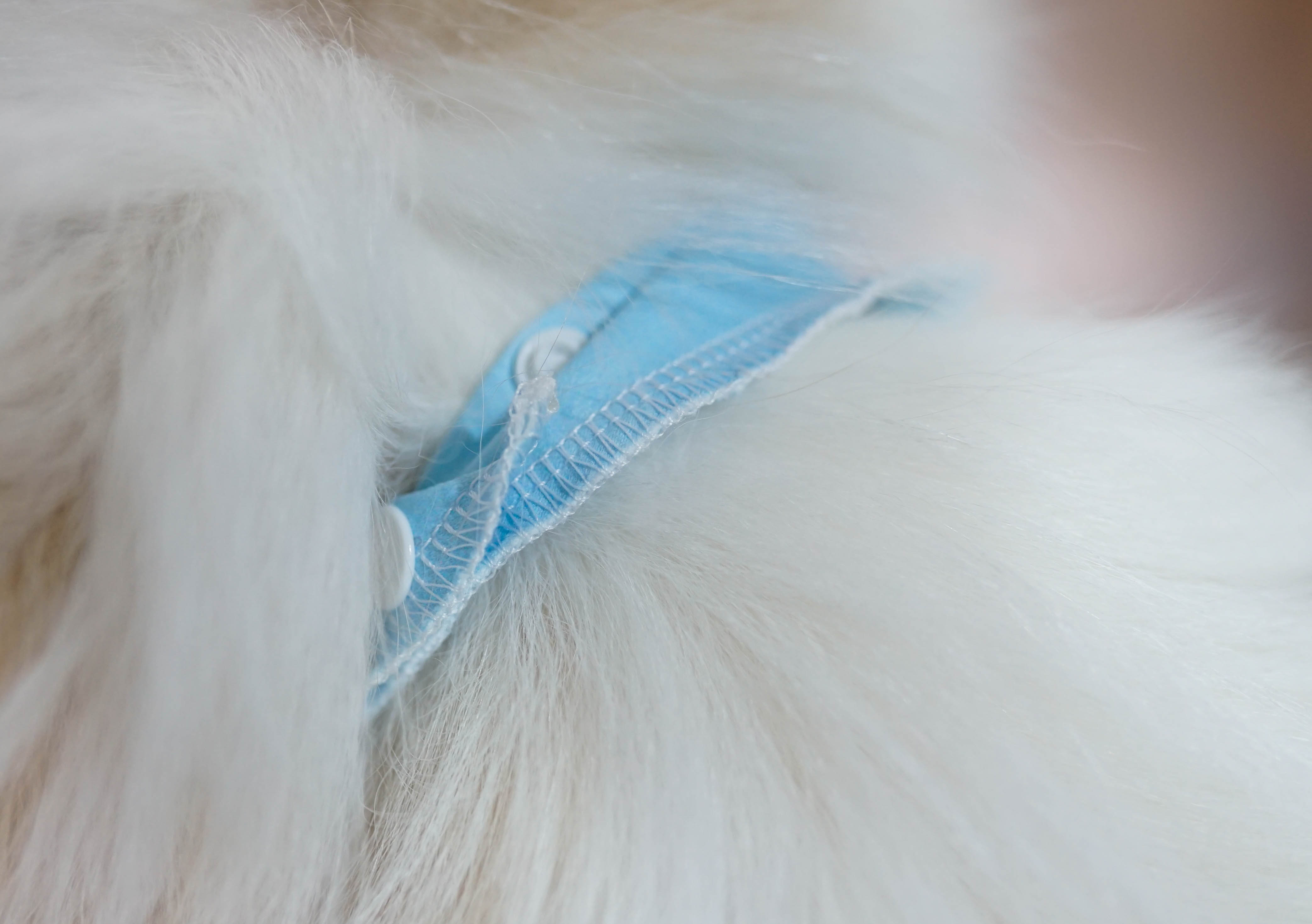 ผ้าพันคอหมา แมว ผ้าพันคอหมา แมว