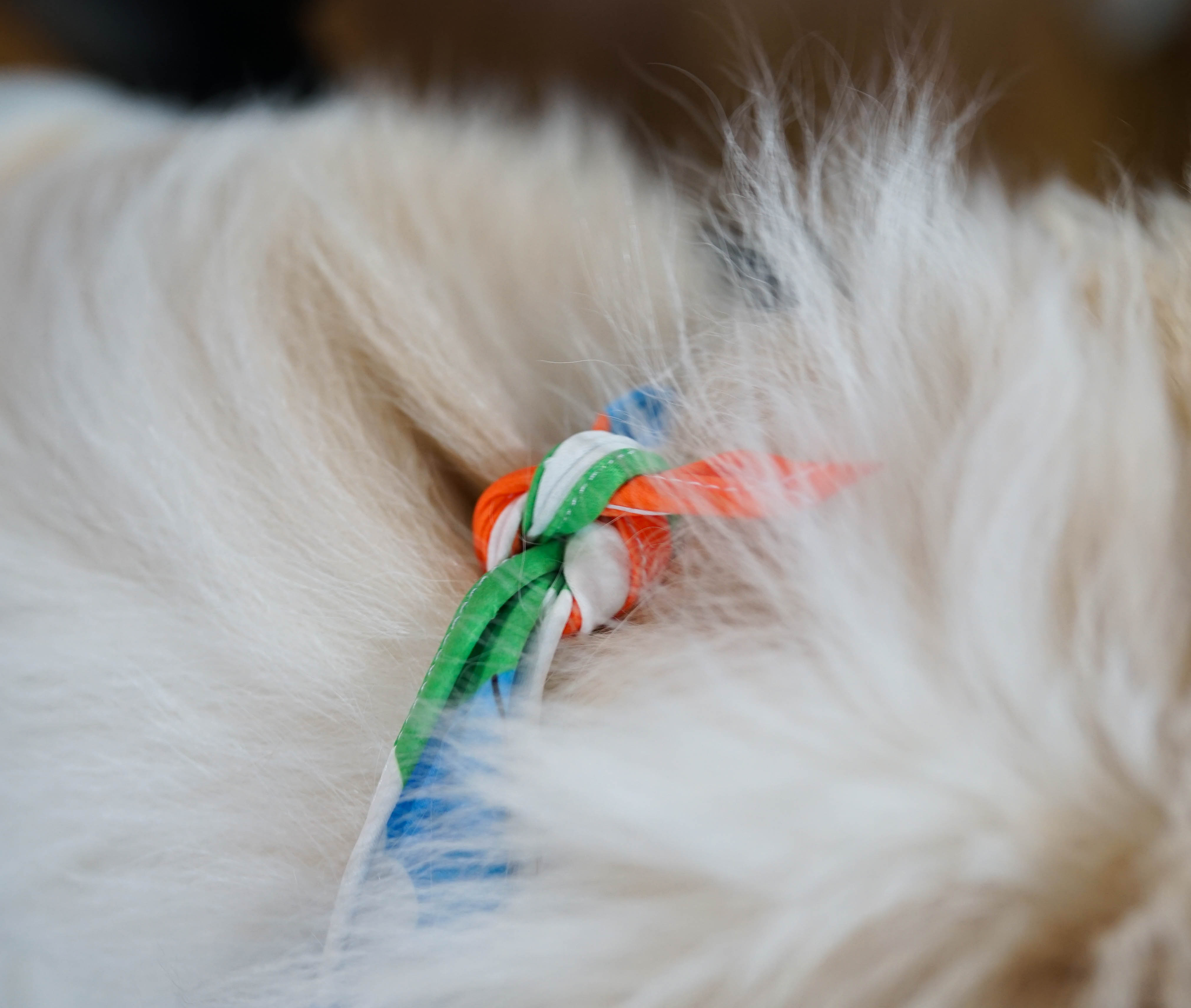 ผ้าพันคอหมา แมว ผ้าพันคอหมา แมว