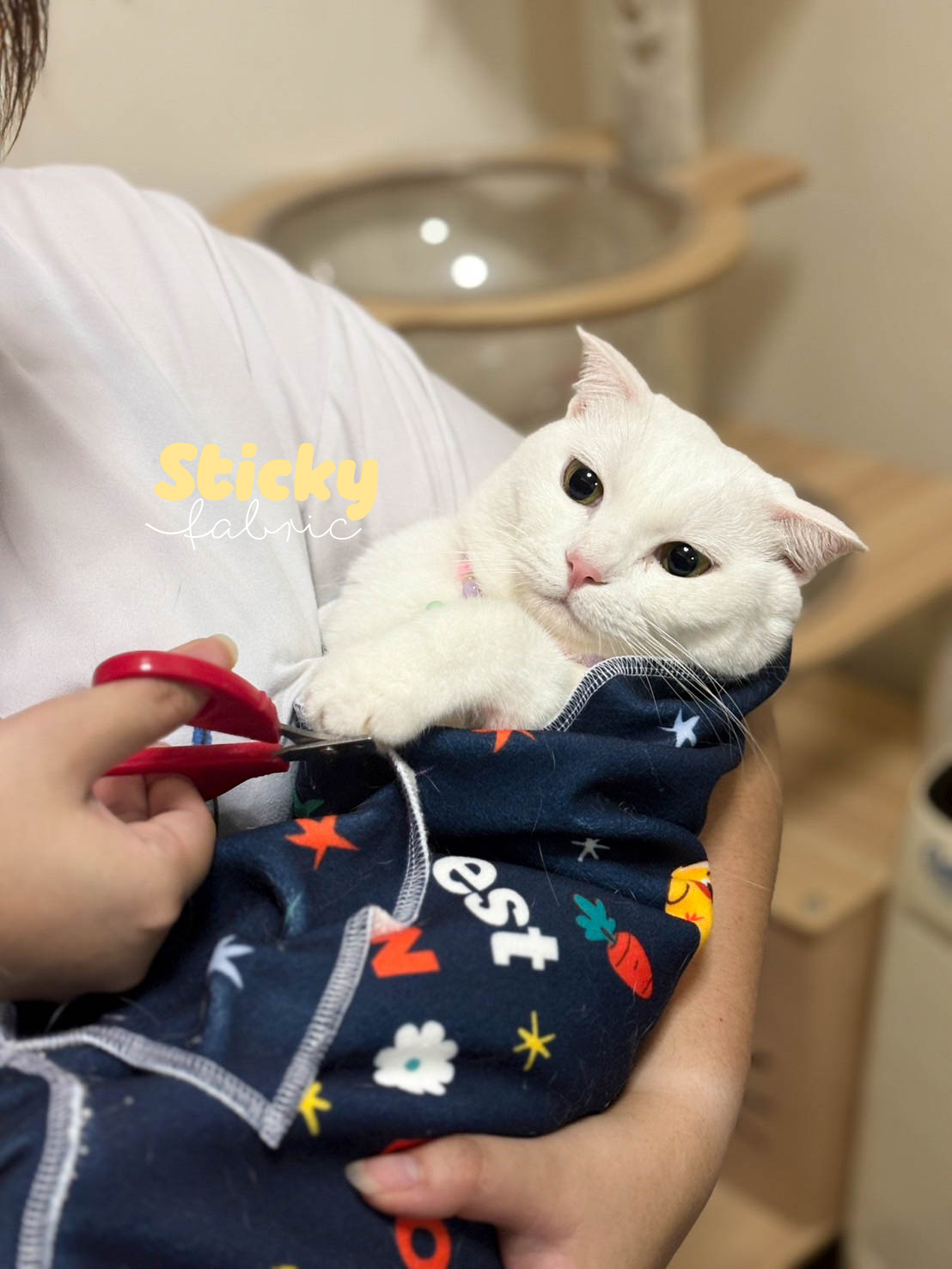 ผ้าหนึบ ผ้าหนีบ