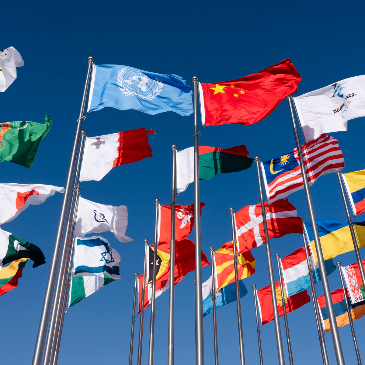 Cross-Border Legal Coordination