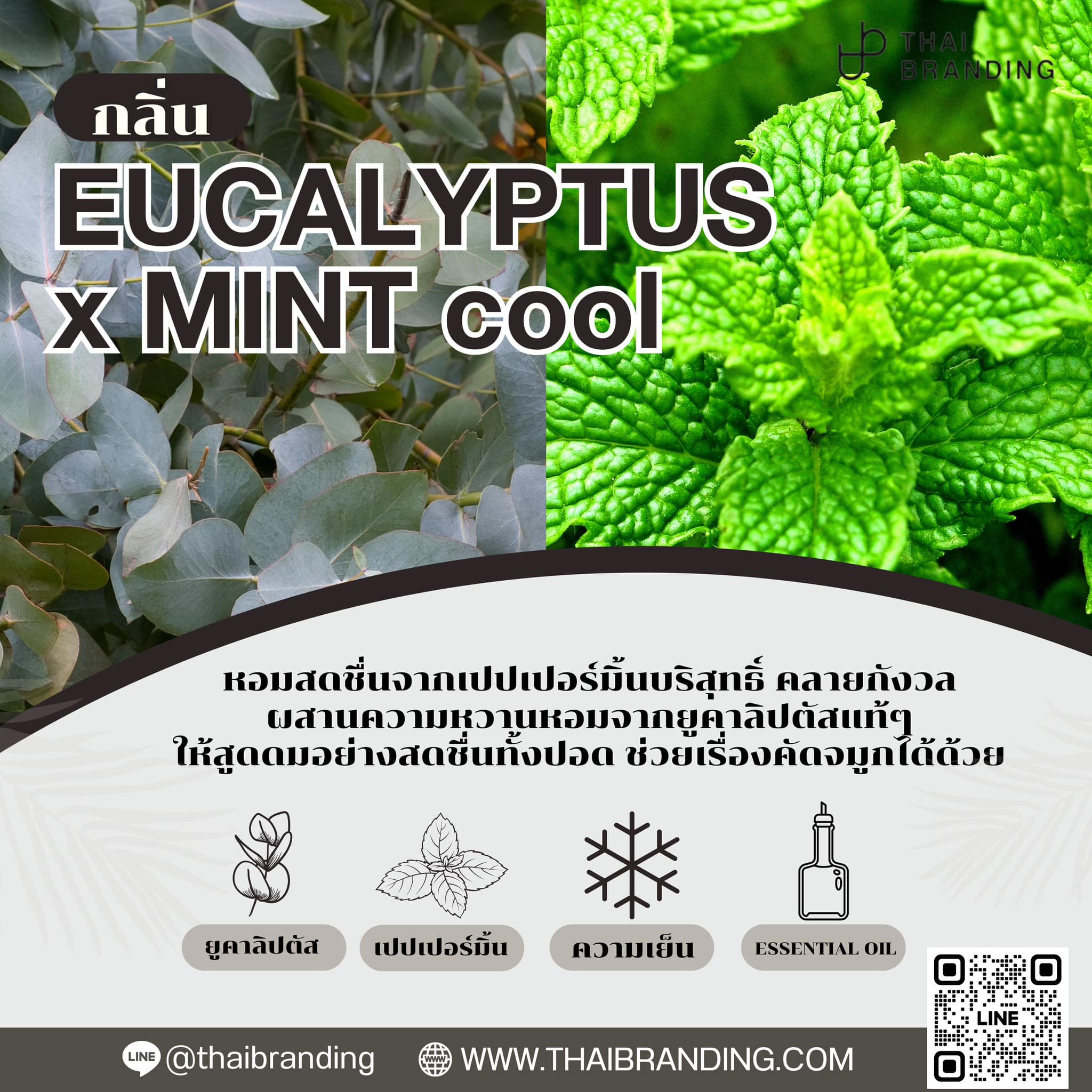 ผลิตยาดม essential oil กลิ่นยูคาลิปตัส