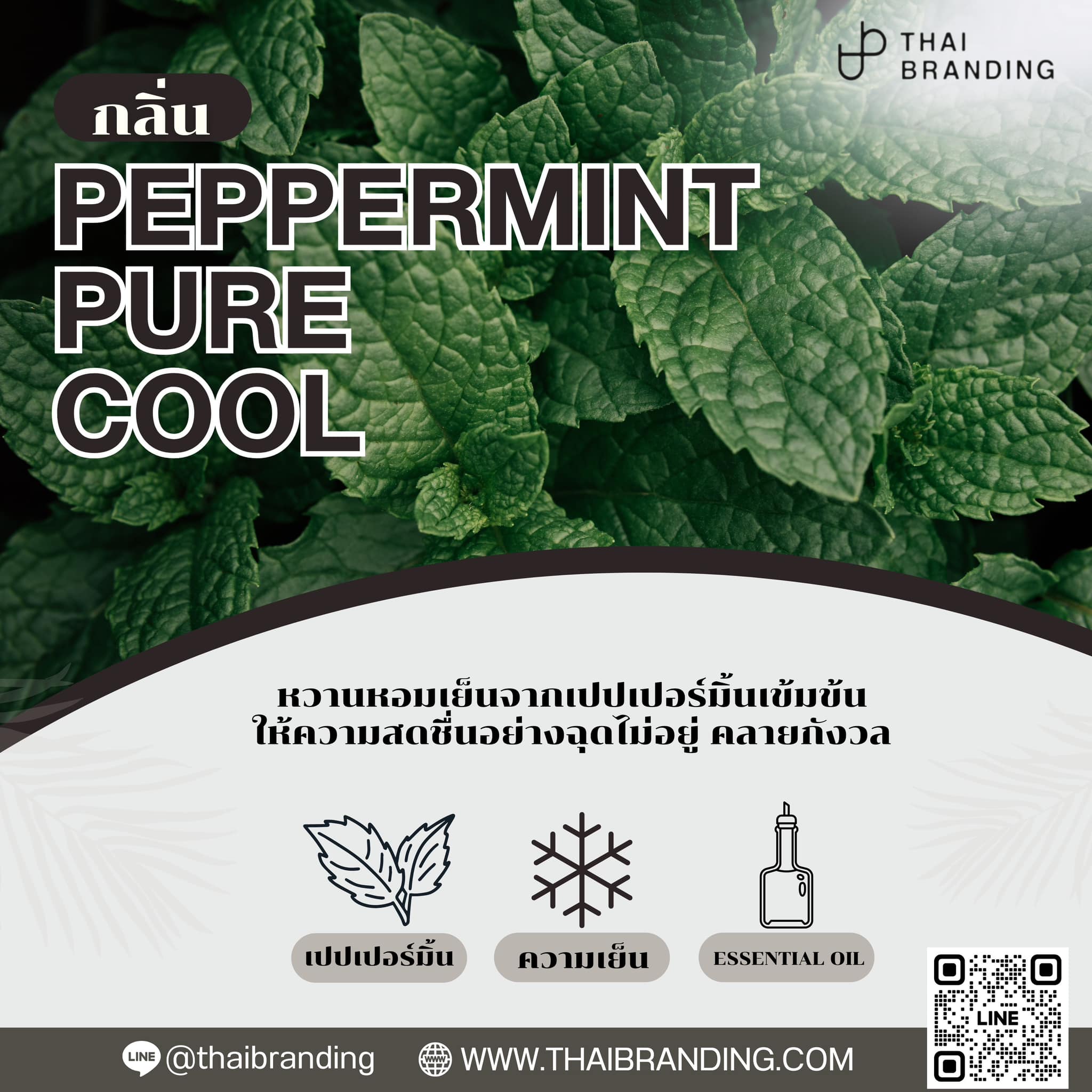 ผลิตยาดม essential oil กลิ่นเปปเปอร์มิ้น