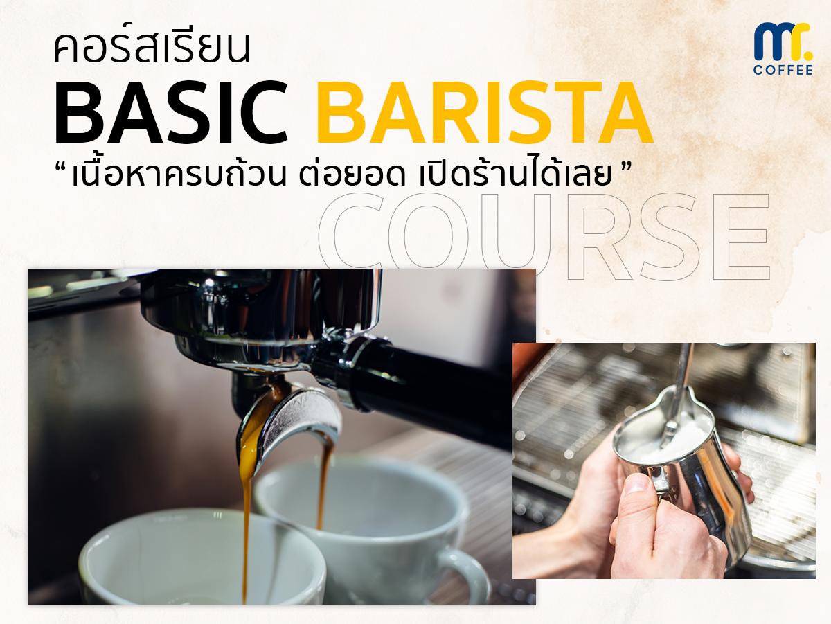 คอร์สเรียน Basic Barista คอร์สเรียน Basic Barista