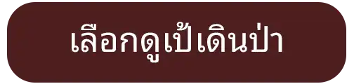 ปุ่มลิงก์ไปหมวดหมู่กระเป๋าเดินป่า