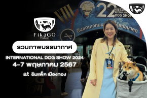 International Dog Show 2024 l FikaGO Thailand