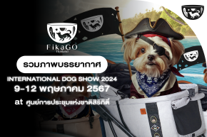 PET EXPO THAILAND 2024 l FikaGO Thailand