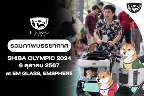 SHIBA OLYMPIC 2024 l FikaGO Thailand