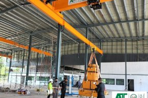 Hoist and Cranes Professional