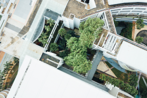 Green Townhouse