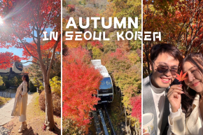 AUTUMN IN SEOUL KOREA เที่ยวตามใจ ชมใบไม้เปลี่ยนสี ที่โซล 5 วัน 3 คืน