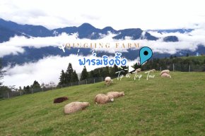 ชิงจิ้ง Qingjing หรือที่รู้จักกันในชื่อ "ฟาร์มชิงจิ้ง" 