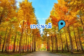 เกาะนามิ (Nami Island) เกาะเล็ก ๆ ที่ยิ่งใหญ่ด้วยเสน่ห์แห่งฤดูใบไม้เปลี่ยนสี