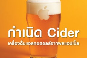 กำเนิด Cider (ไซเดอร์) เครื่องดื่มแอลกฮอลล์จากผลแอปเปิ้ล 