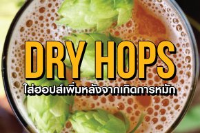 ทำไมต้องดรายฮ็อปส์ ? Dry Hops WHY ? WHAT ? HOW ? Which ?