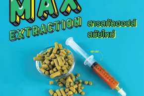 Modern Hop  Extraction  สารสกัดฮอปส์สมัยใหม่ และวิธีการใช้งานในการต้มเบียร์ 