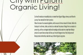 Sustainability in the City with Patom Organic Living!