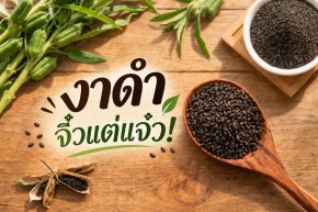 งาดำเมล็ดจิ๋วคุณค่ามหาศาล