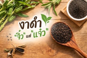 งาดำเมล็ดจิ๋วแต่แจ๋ว