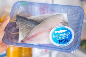 ก้าวต่อไปของการพัฒนาอย่างยั่งยืนในอุตสาหกรรมอาหารทะเล The Next Wave: Shaping the Future of Sustainable Seafood