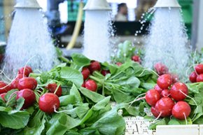 นวัตกรรมการล้างผักและผลไม้ด้วยระบบไมโครนาโนบับเบิลโอโซน Innovative Fruits and Vegetables Washing with Micro-nano Bubble Ozone System