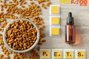 โภชนบำบัดเพื่อการจัดการสุขภาพเฉพาะโรคในสัตว์เลี้ยง Therapeutic Nutrition for Disease-Specific Management in Companion Animals