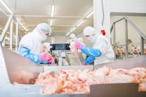 แนวทางบูรณาการในการควบคุมเชื้อก่อโรคสำหรับอุตสาหกรรมเนื้อสัตว์และสัตว์ปีก Integrated Strategies for Pathogen Management in the Meat and Poultry Industry