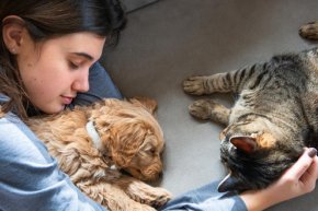  ปรากฎการณ์ Pet Humanization ต่อการพัฒนาขนมสัตว์เลี้ยงยุคใหม่ Pet Humanization and Its Impact on Treat Formulation Trends