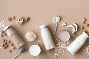 นมจากพืช ปะทะ นมวัว: ศึกชิงแชมป์เครื่องดื่มโปรตีนแห่งอนาคต Plant-based Milk vs. Cows Milk: Competition for the Future Champion of Protein Drinks